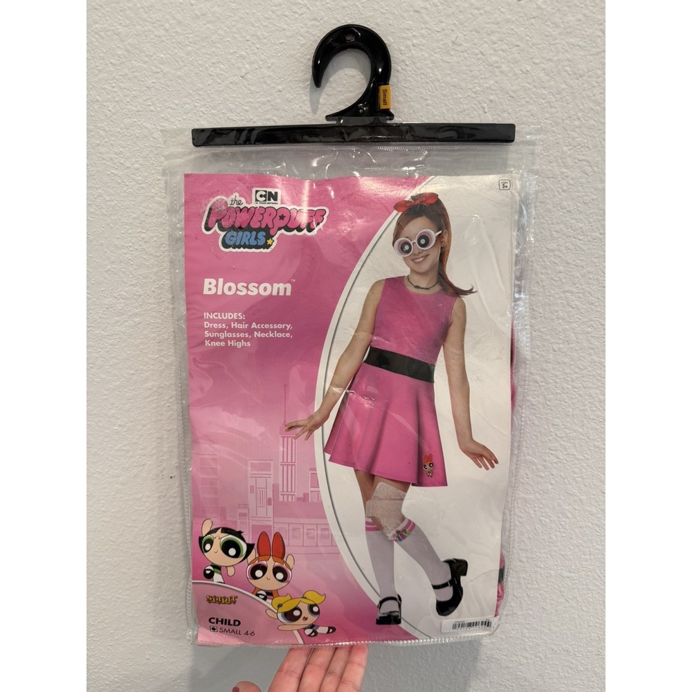 Blossom Powerpuff Girls Costume Child Small 4-6yrs NEW Spirit Halloween